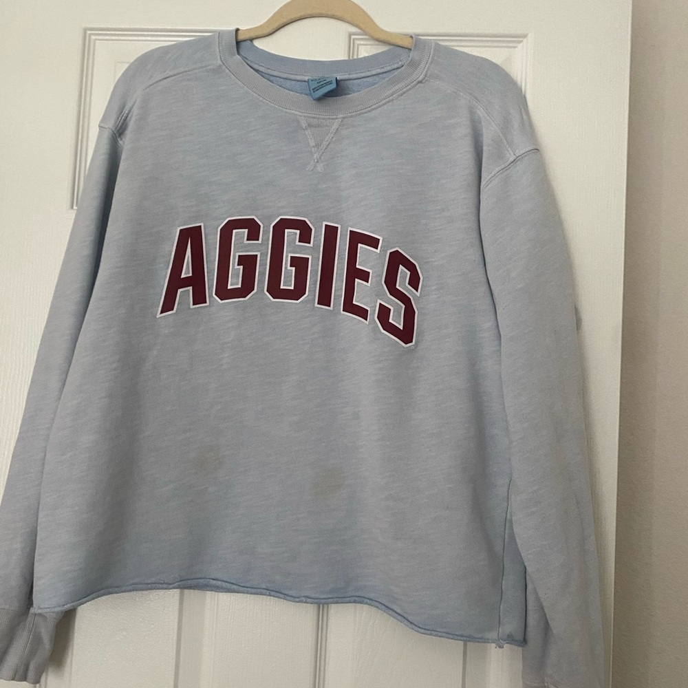 PINK Victoria's Secret Light Blue Sweatshirt